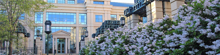 Alumni LinkedIn Header PBB Spring